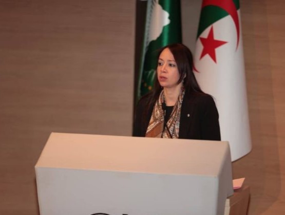 منصوري: جرائم الاستعمار فرصة لإعادة تموضع إفريقيا واستثمار الذاكرة التاريخية