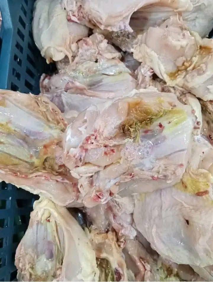 تيزي وزو: حجز لحوم دجاج غير مطابقة للمواصفات خلال حملة رقابية