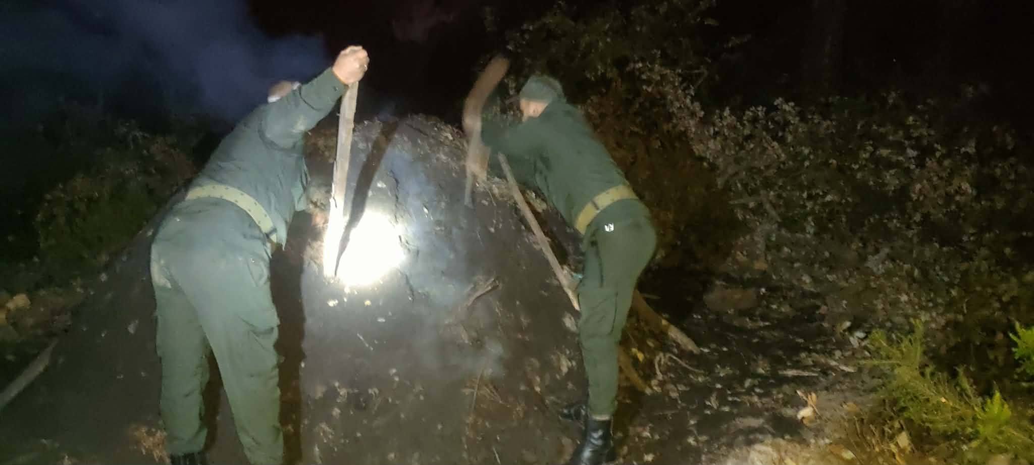 عنابة: وضع حد لنشاط غير شرعي لإنتاج الفحم الخشبي بغابات سرايدي