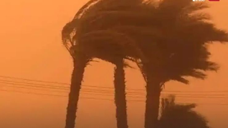 رياح قوية وزوابع رملية مرتقبة بعدة ولايات