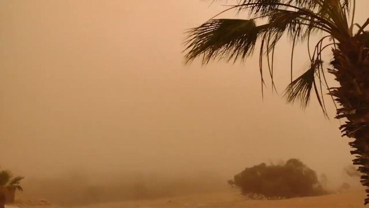 رياح قوية وزوابع رملية مرتقبة بعدة ولايات جنوبية