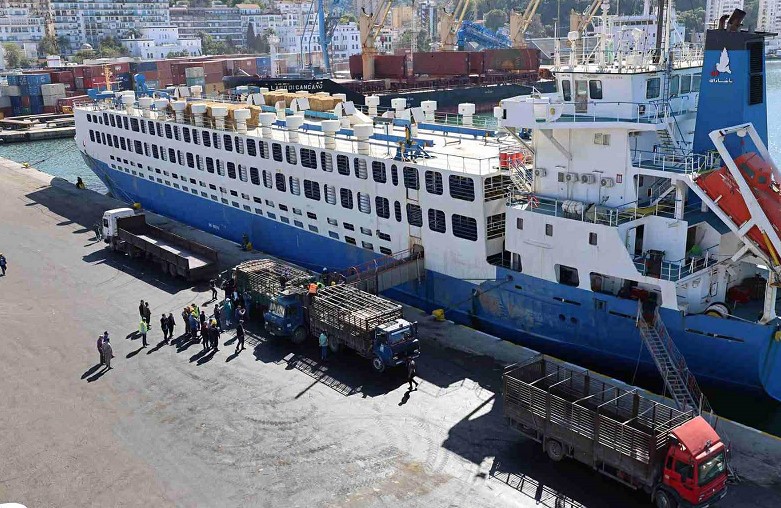 سكيكدة: وصول باخرة محمّلة بـ13 ألف رأس غنم تحضيراً لعيد الأضحى